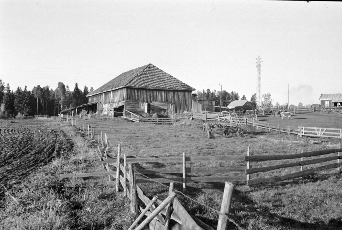 Johs. (Johannes) Johannessen, Ukjent gardsbruk, Furnes (?)