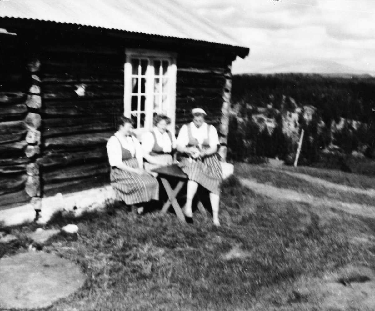 Rachel Haarseth, Personer, klær, seterhus, bord.