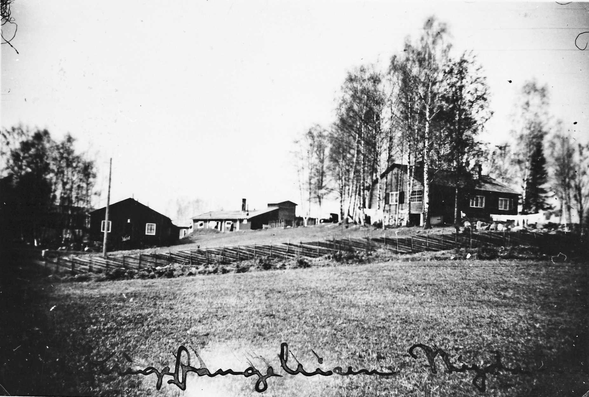 Rachel Haarseth, Nydalen krigsfangeleir, Furnes