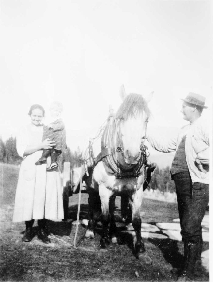 Rachel Haarseth, Hest, personer, naturforhold.