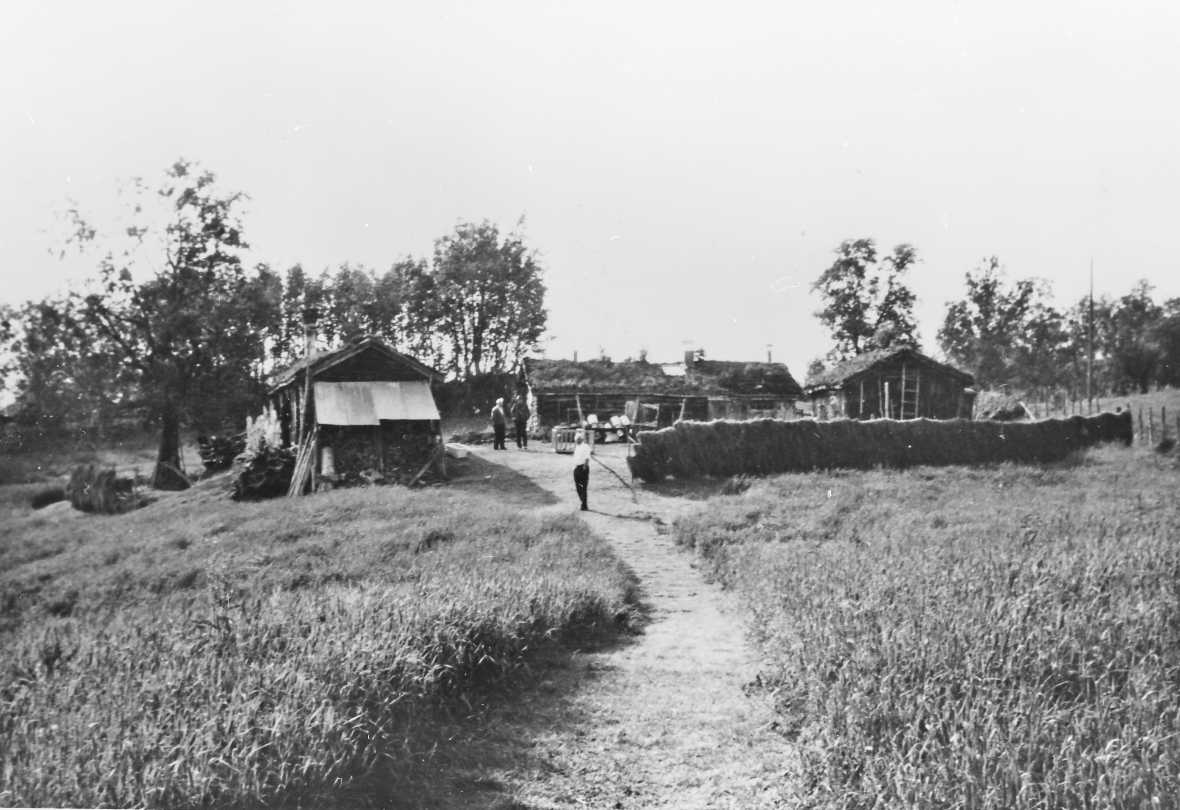 Rachel Haarseth, Høyonn, seter, personer, hesje.