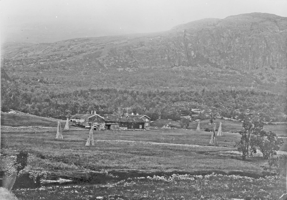 Rachel Haarseth, Gårdsbruk, hesjevedkraser, naturforhold.