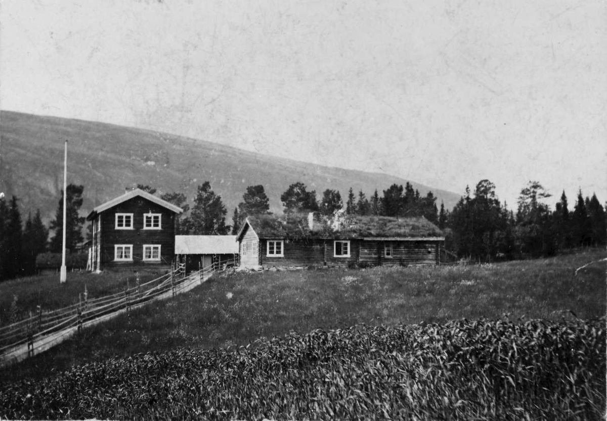 Rachel Haarseth, Gårdsbruk.