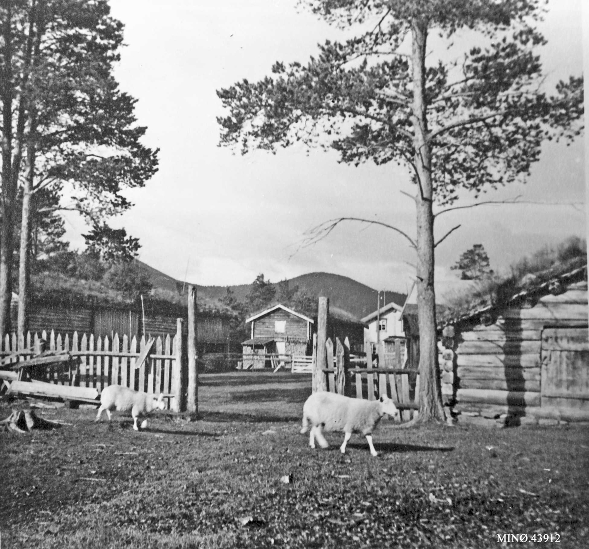 Rachel Haarseth, Gårdsbebyggelse, sau.