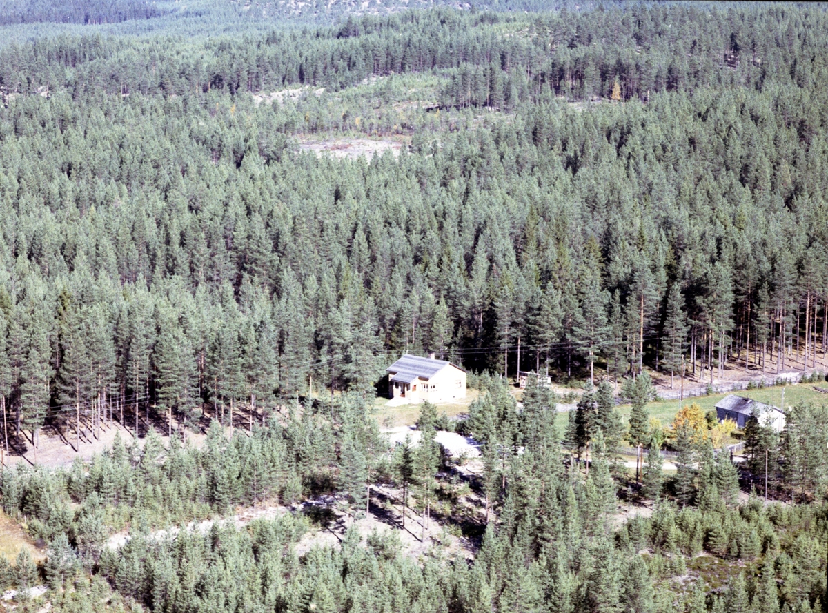 Widerøes Flyveselskap A/S, Bolighus
