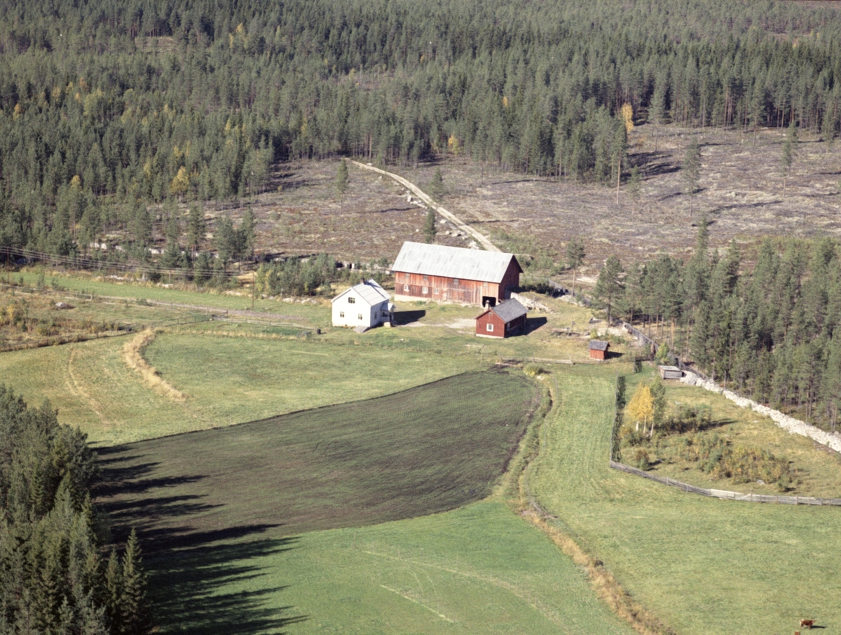 Widerøes Flyveselskap A/S, Gardsbruk
