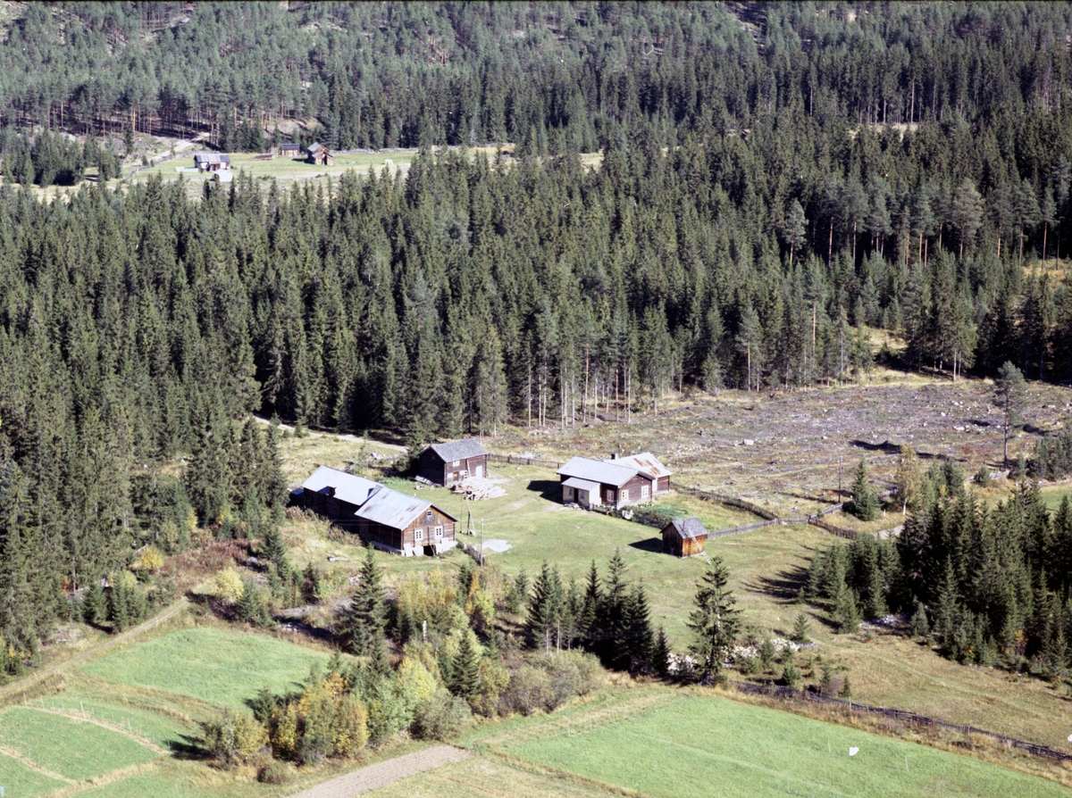 Widerøes Flyveselskap A/S, Gardsbruk