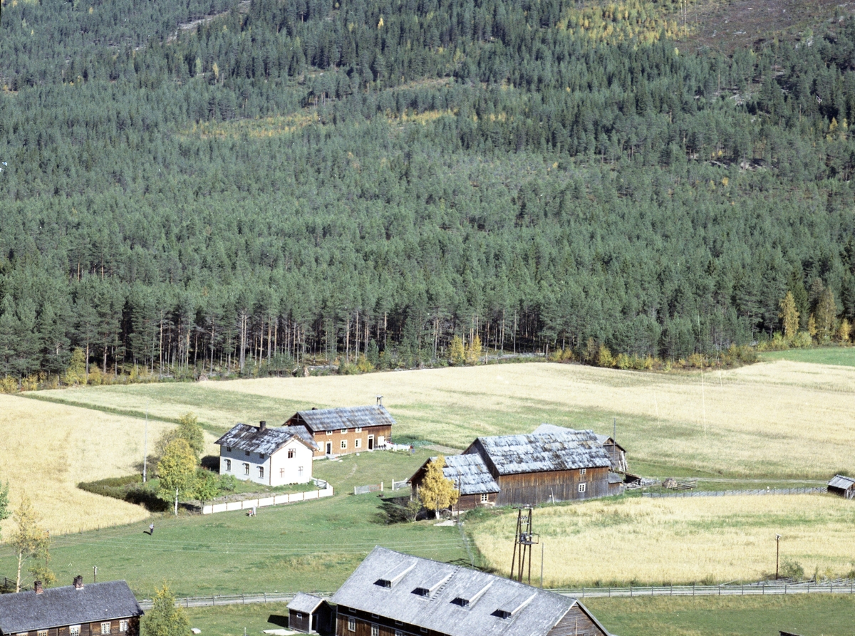 Widerøes Flyveselskap A/S, Gardsbruk