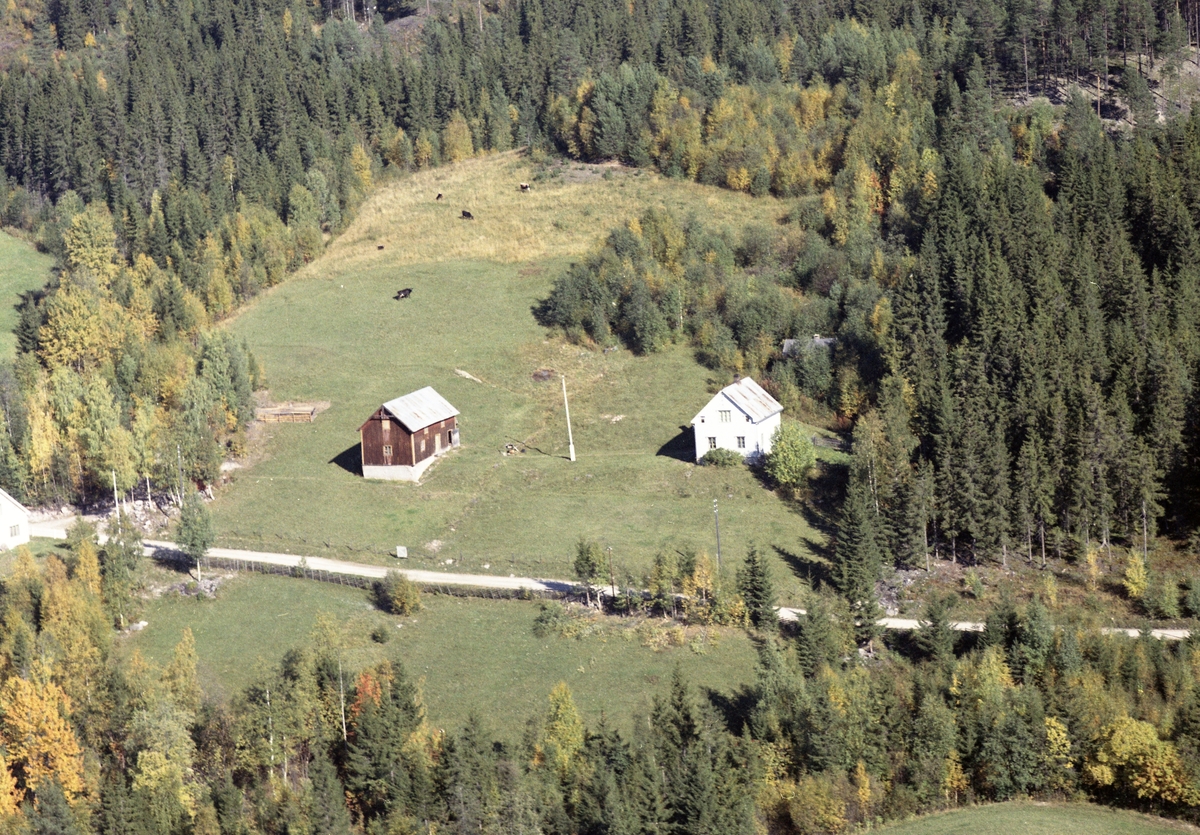 Widerøes Flyveselskap A/S, Gardsbruk Holsrud 12/21