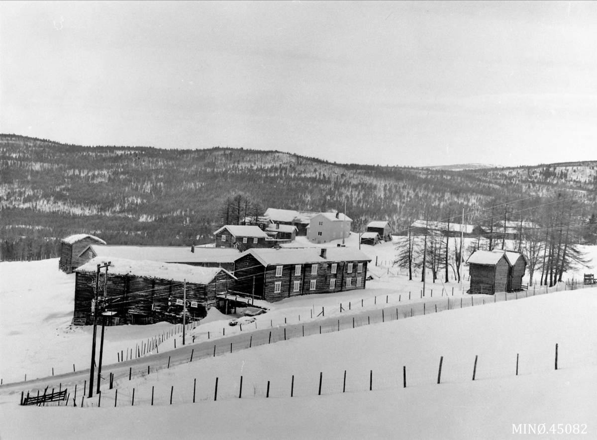 Tynset Foto, Tre gardsbruk. Utistu (nærmest), Nordsistu (Bakken) (i midten), Stortrøa (bakerst i bildet)