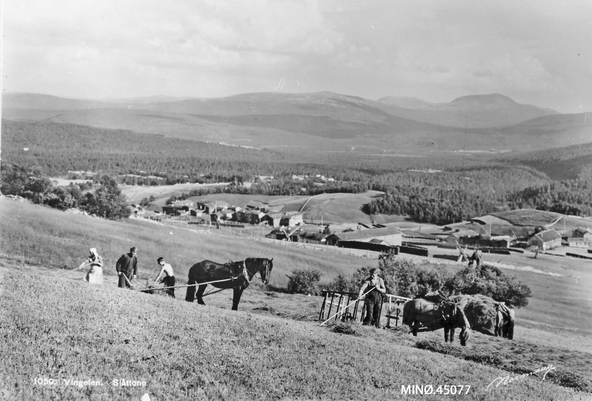 Carl Gustav Normann, Bildene 45063 til 45077 er fra Tolga og Vingelen sentrum.