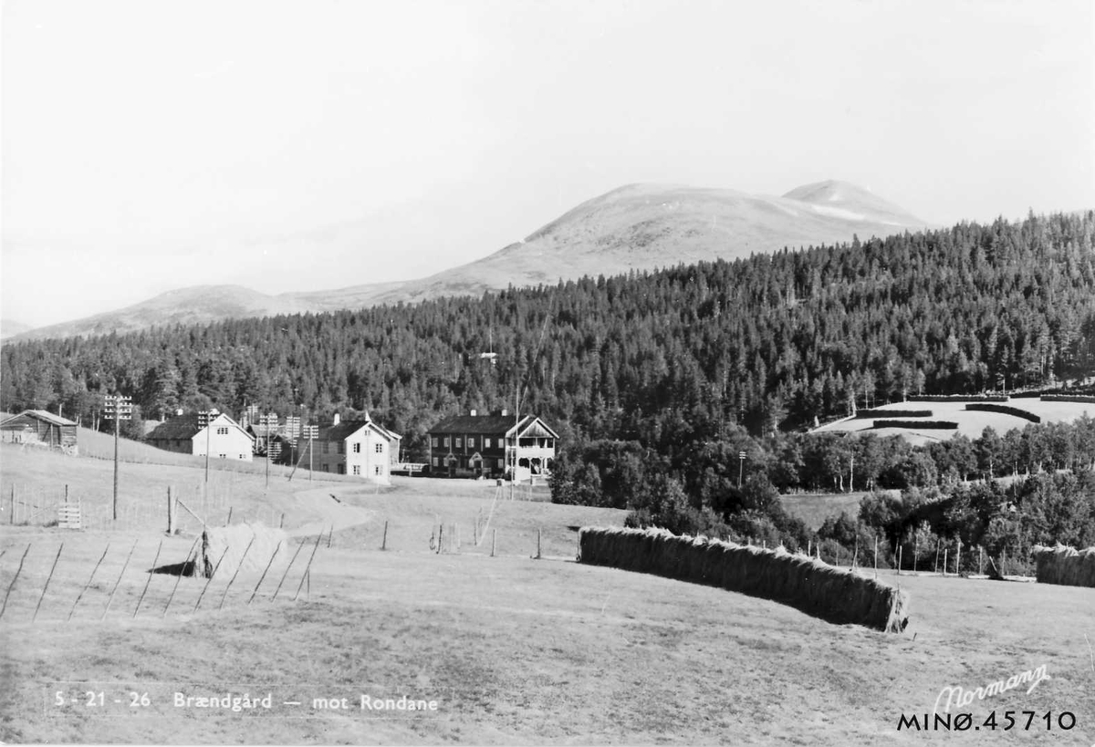 Carl Gustav Normann, Gardsbruk, Hesjer.
