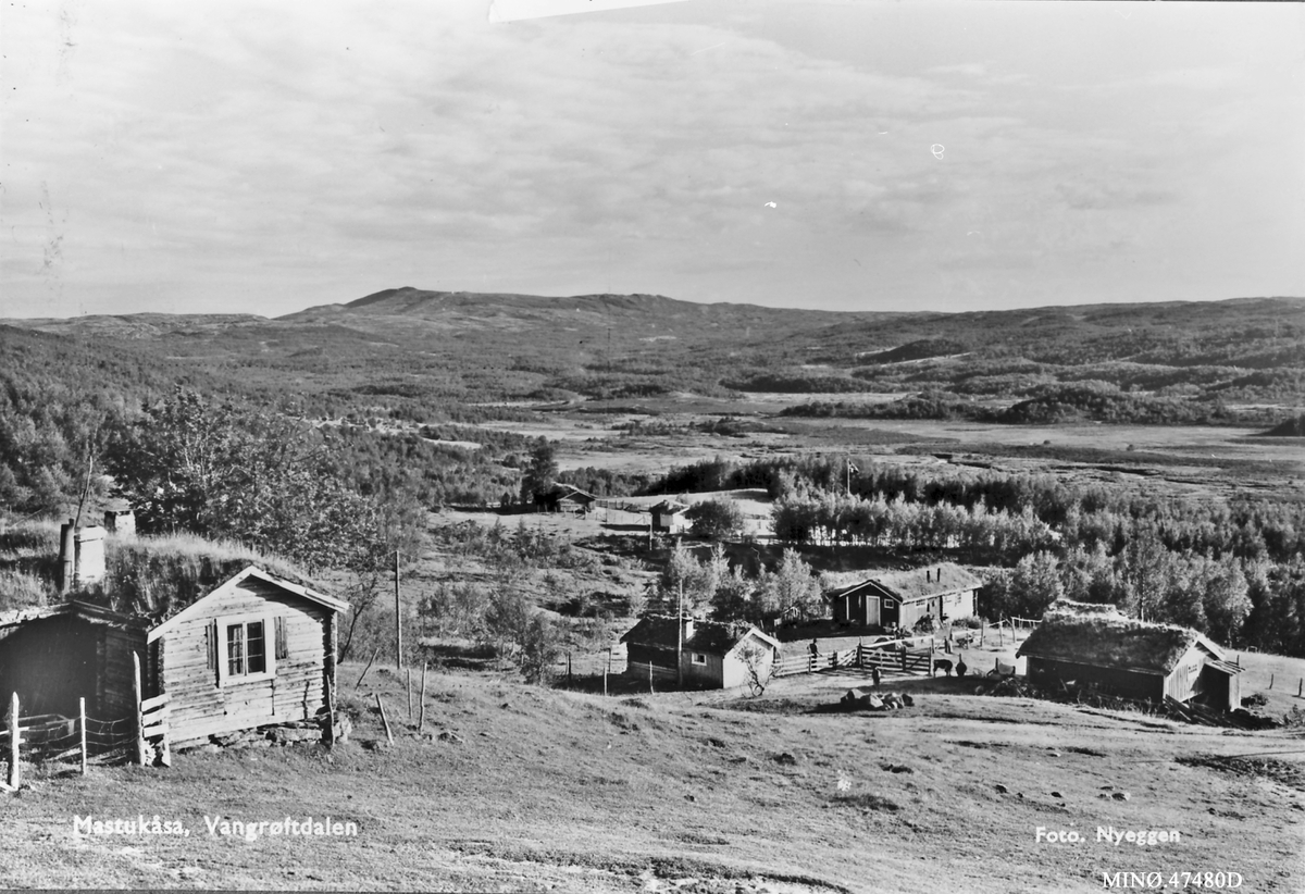 Ola Nyeggen, Mastukåsa, Vangrøftdalen.