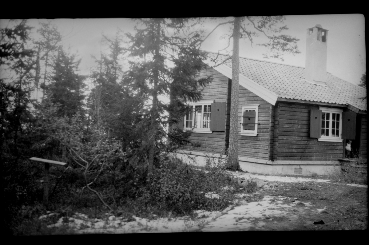 Rolf Sr. Sundt, NF.34664-100
