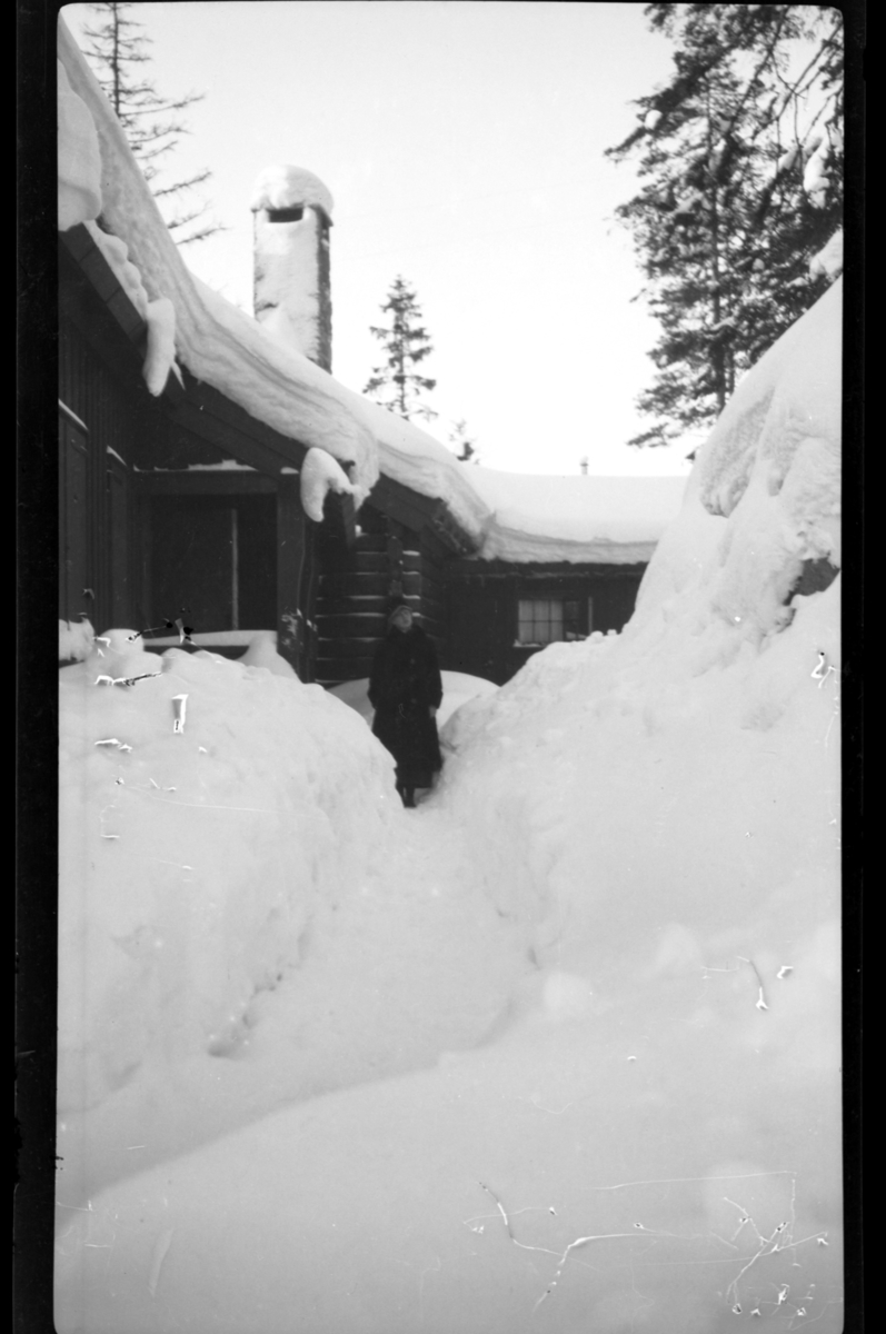 Rolf Sr. Sundt, NF.34664-104