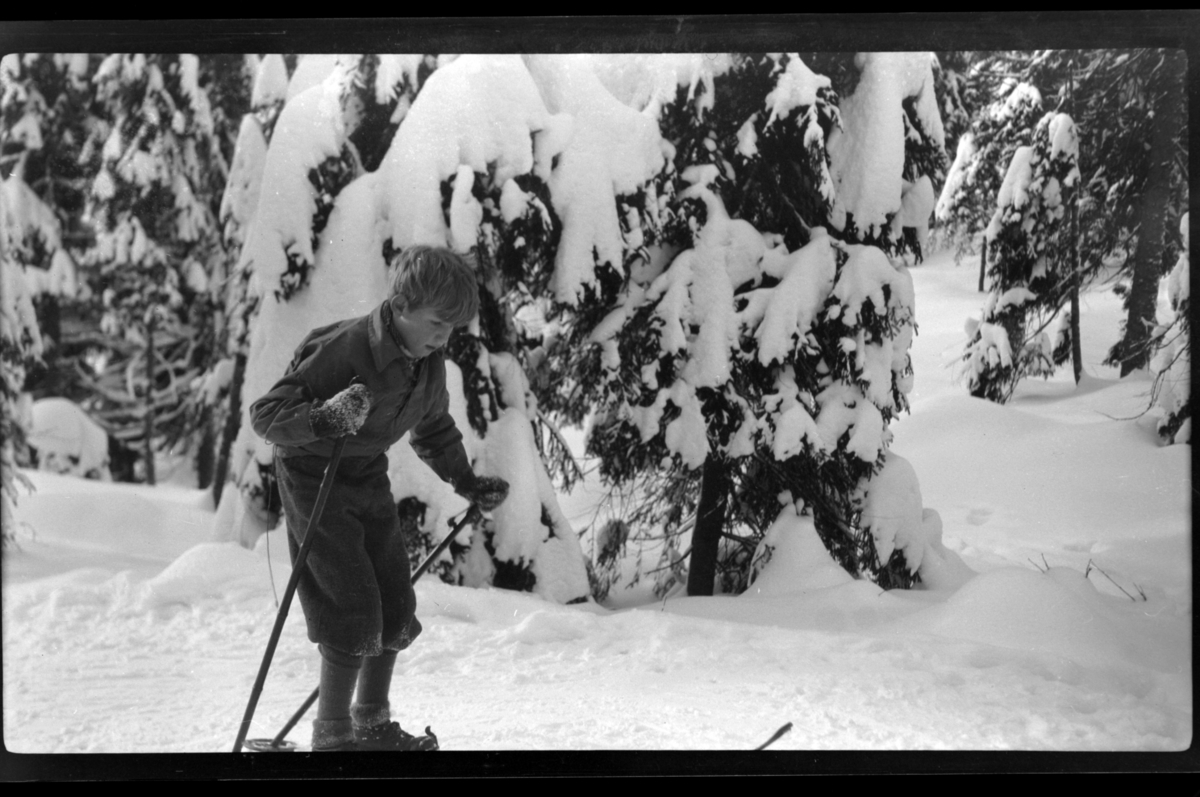 Rolf Sr. Sundt, Rolf Sundt Jr. på ski i Nordmarka. Fotografert 1930/31.
