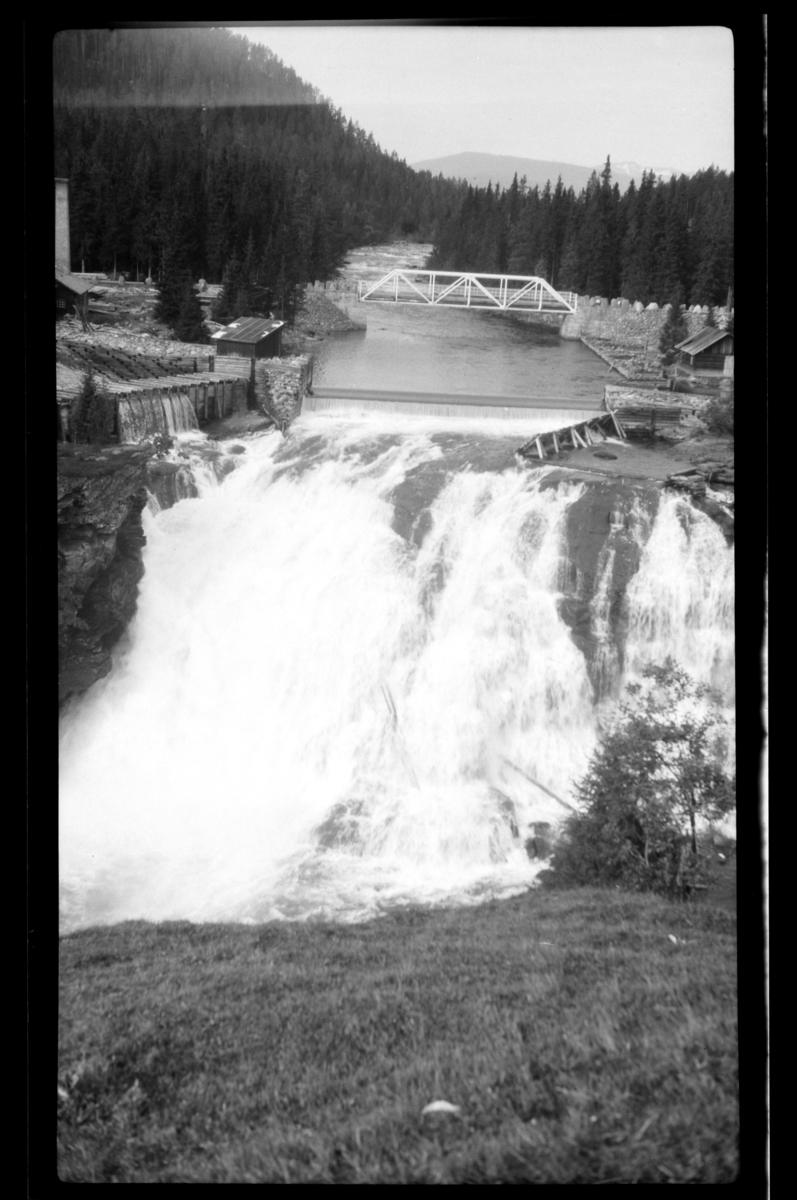 Rolf Sr. Sundt, NF.34664-224