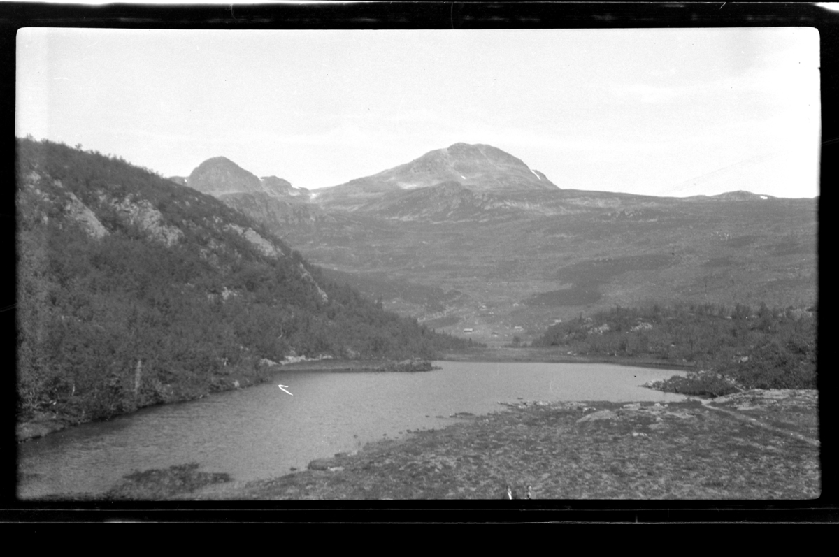Rolf Sr. Sundt, NF.34664-244