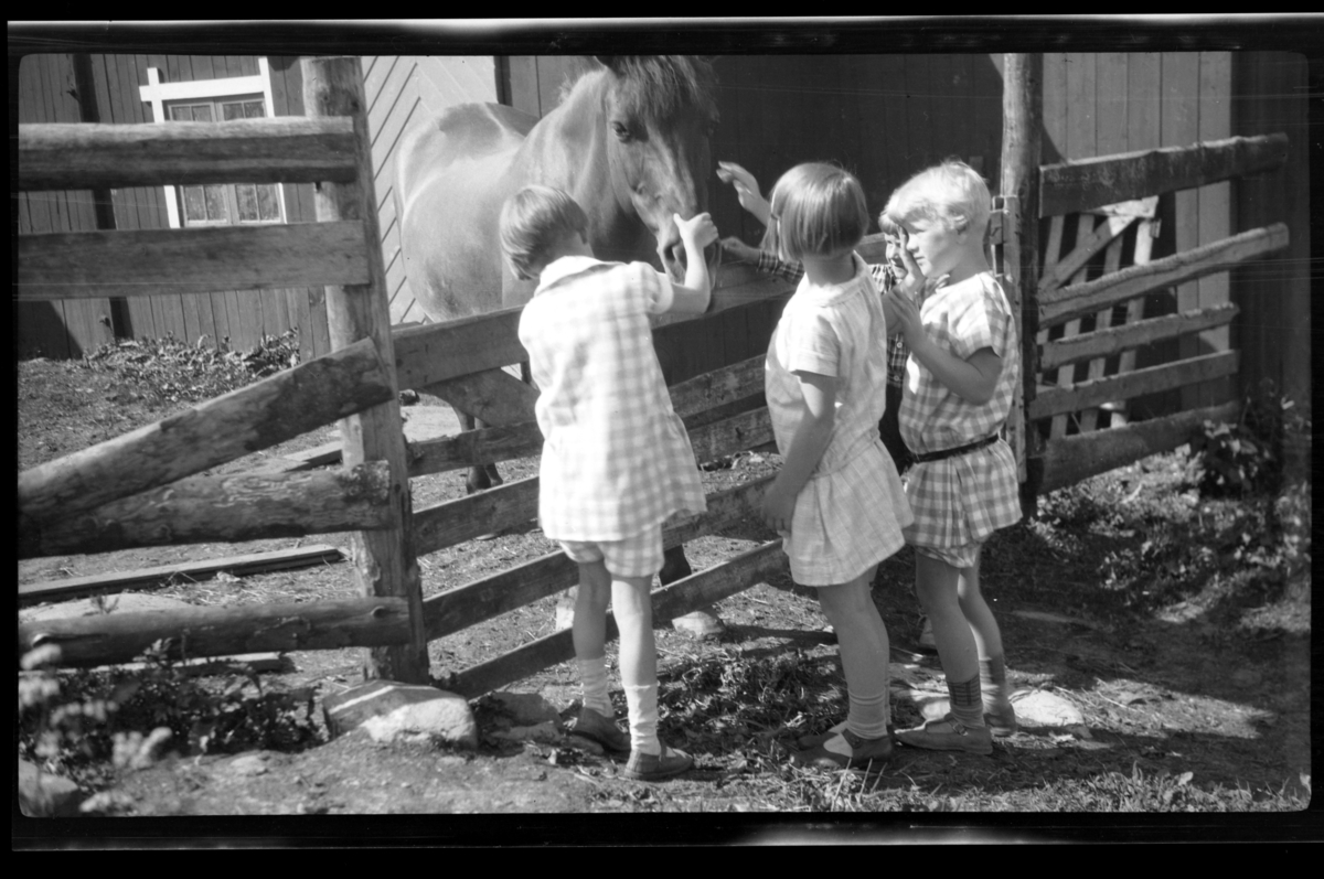 Rolf Sr. Sundt, Tre ukjente jenter står og klapper en hest. Fotografert 1927.
