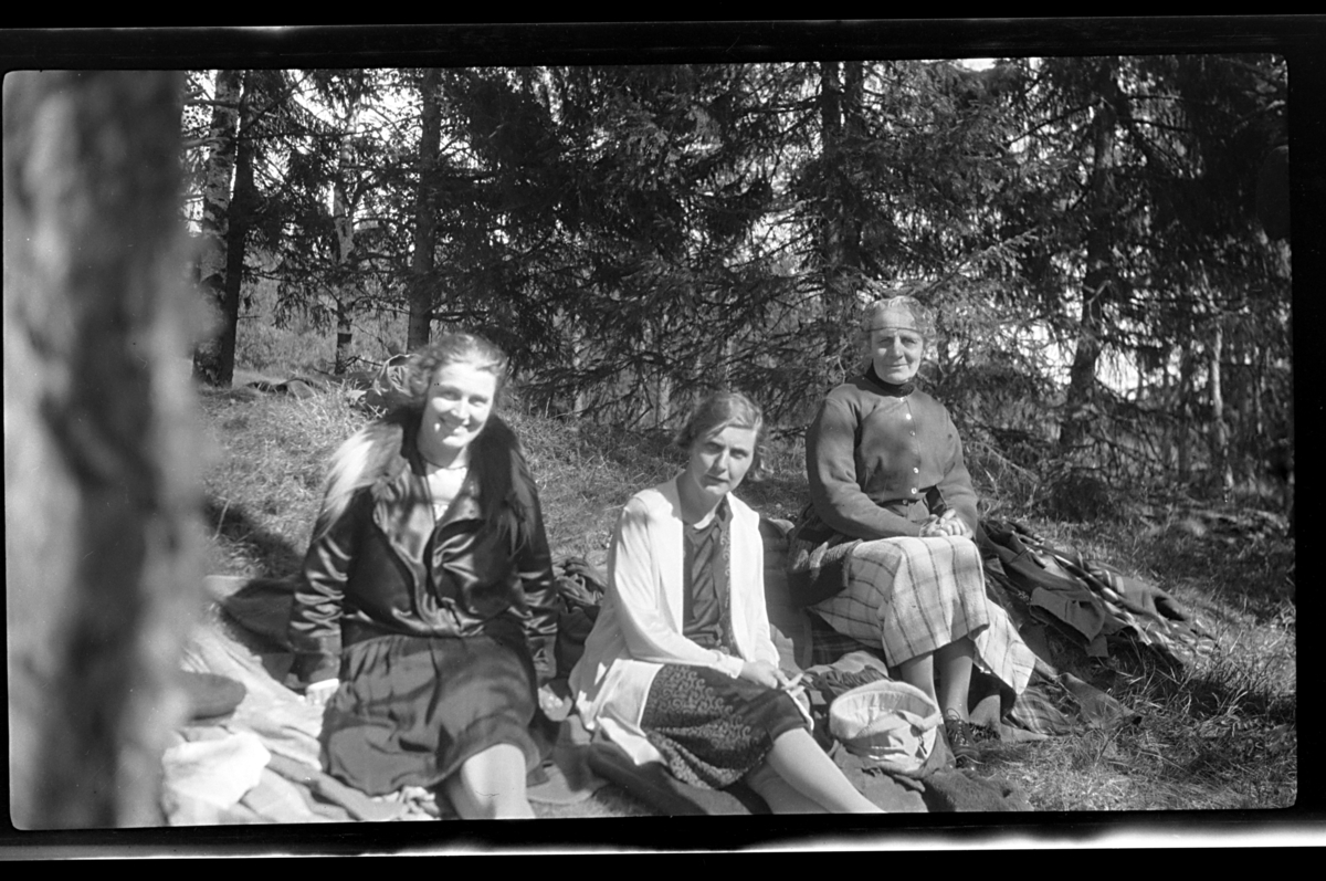 Rolf Sr. Sundt, NF.34664-408
