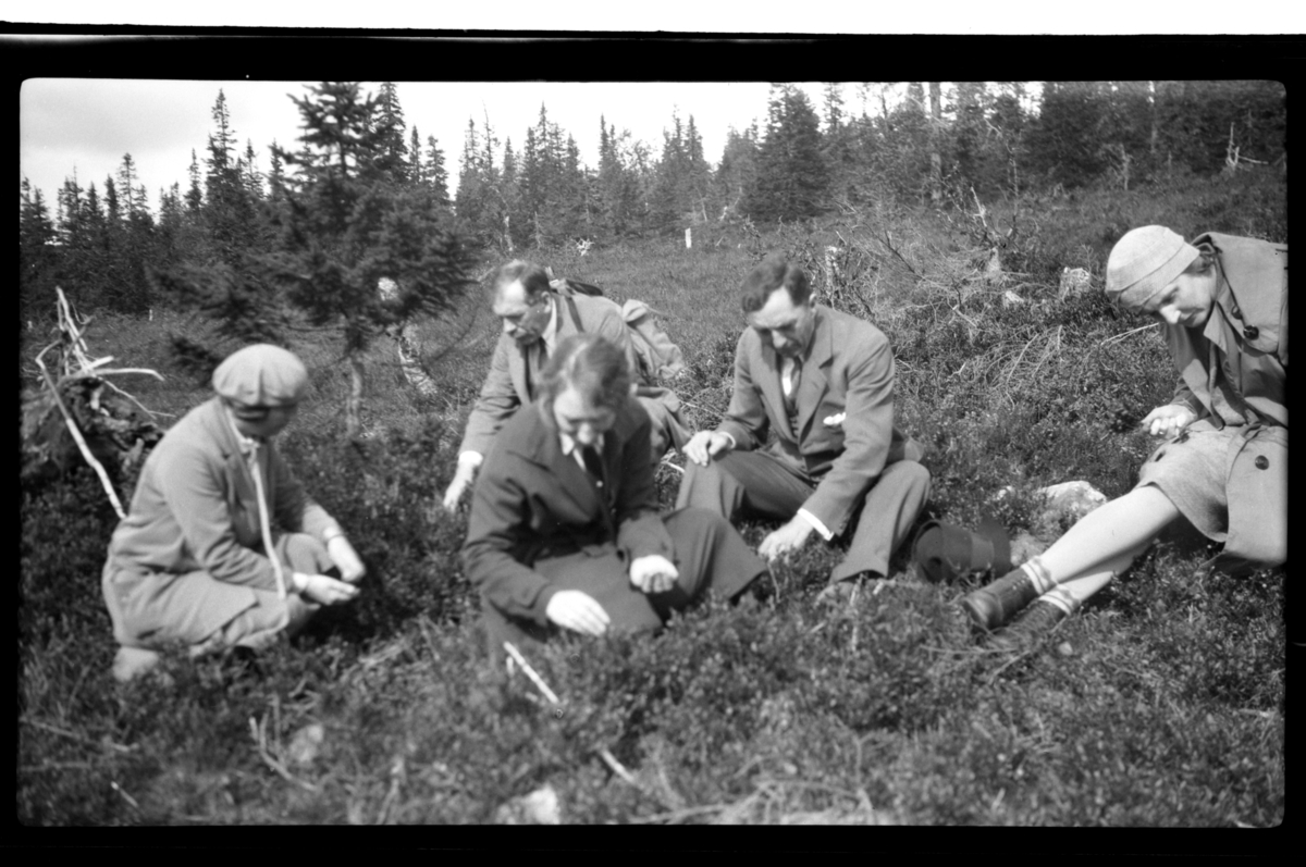Rolf Sr. Sundt, NF.34664-630