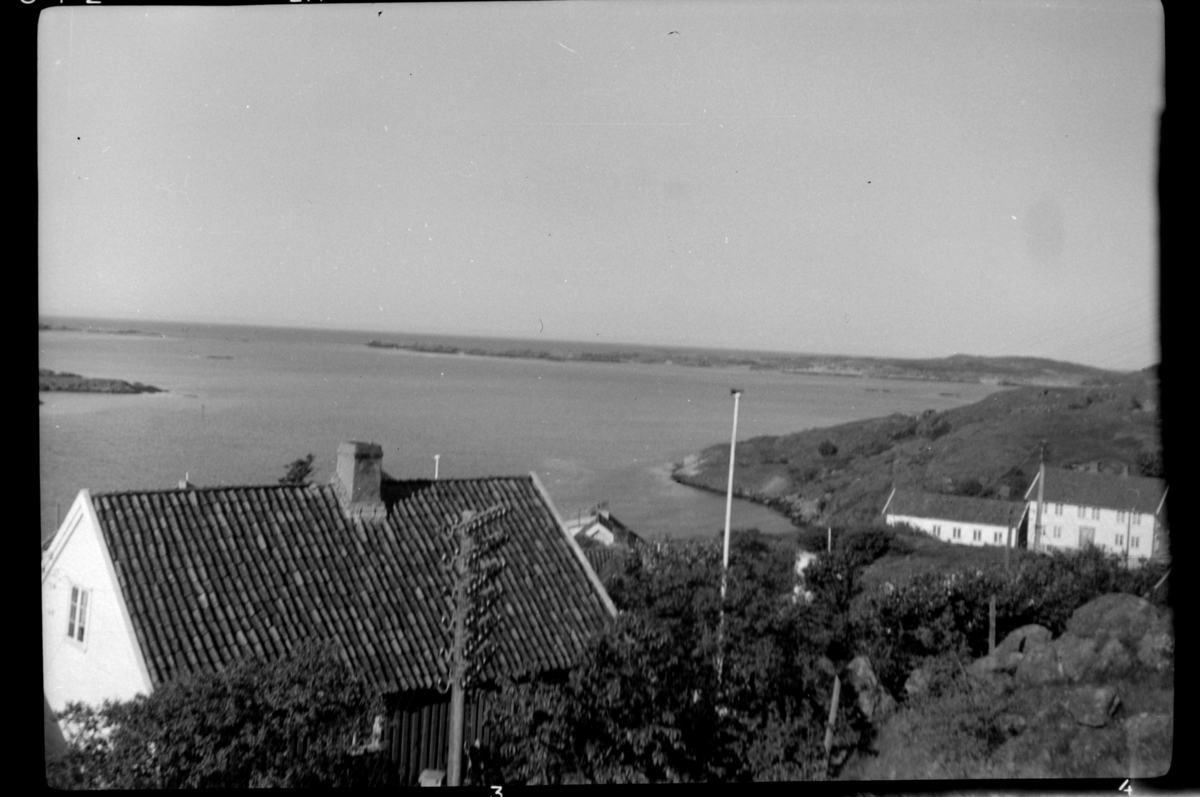 Rolf Sr. Sundt, NF.34664-707