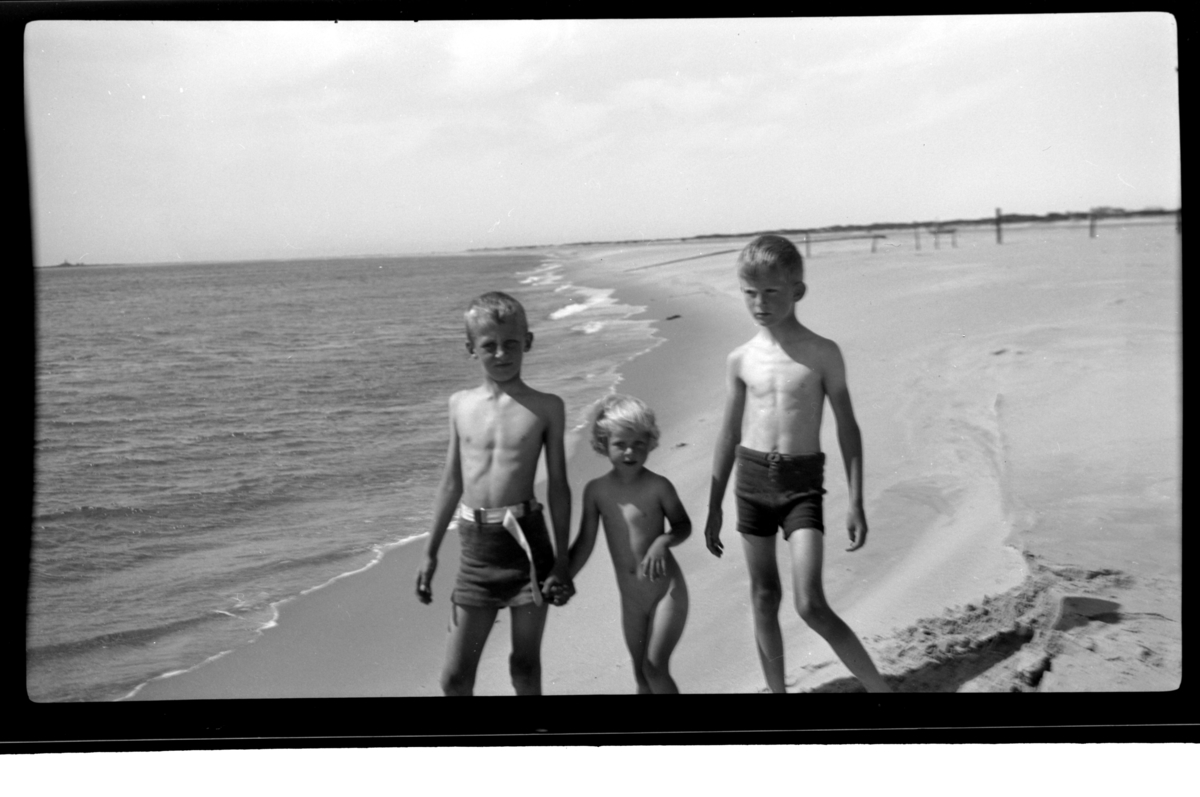 Rolf Sr. Sundt, NF.34664-778