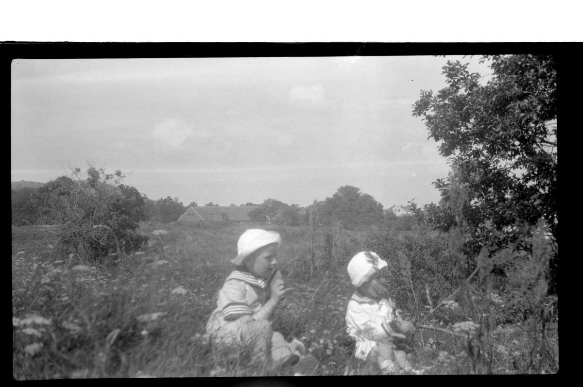 Rolf Sr. Sundt, Brødrene Julius og Rolf jr. Sundt i eng på ukjent sted. Antagelig fotografert 1925.