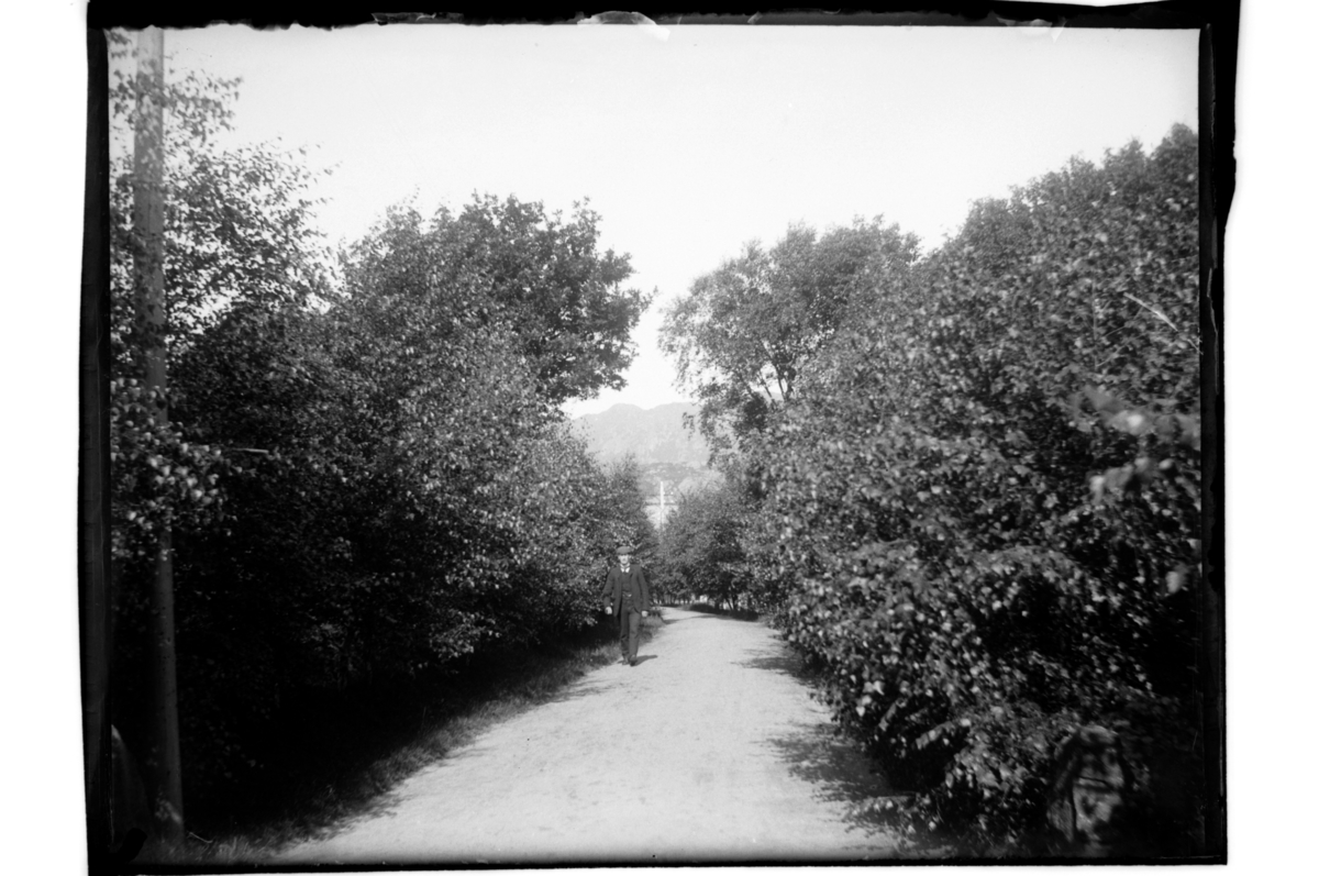 Rolf Sr. Sundt, NF.34664-976