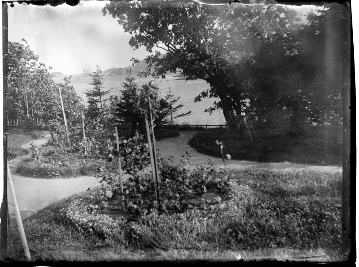 Rolf Sr. Sundt, Farøyparken på Farøy ved Farsund. Fotografert 1900-1903.