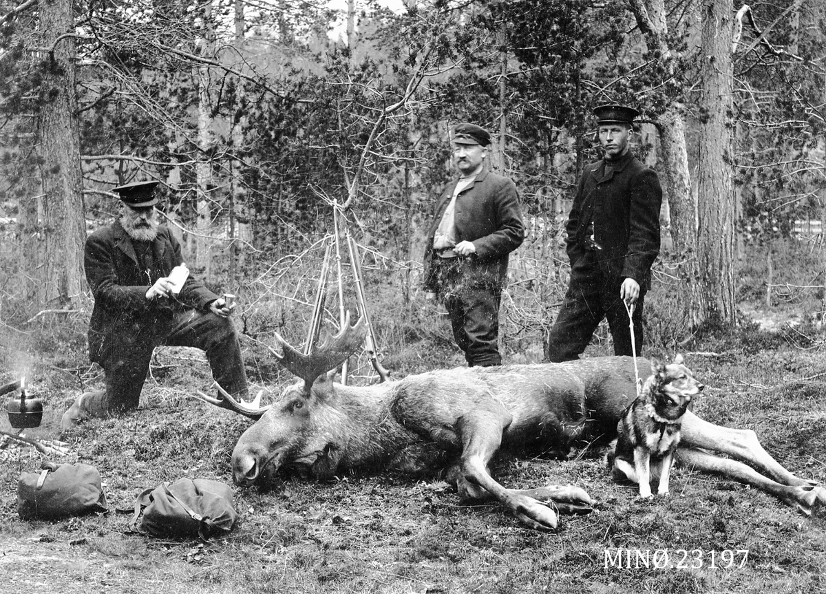 Peder J. Bredalslien, Elgjakt