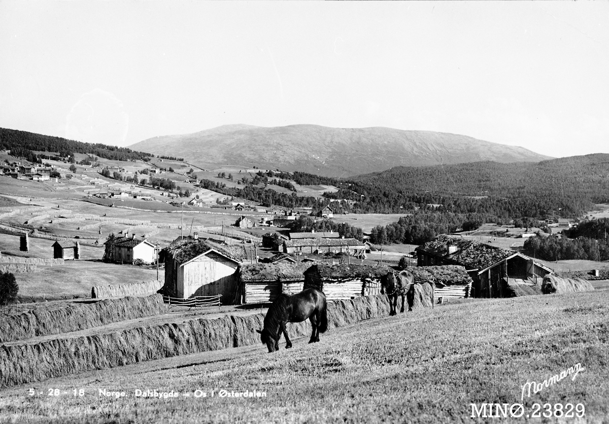 Carl Gustav Normann, Parti fra Dalsbygden