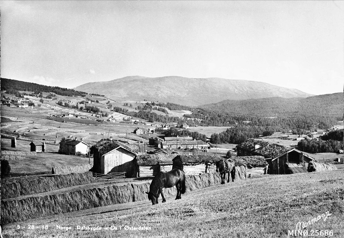 Carl Gustav Normann, Dalsbygda, bebyggelse