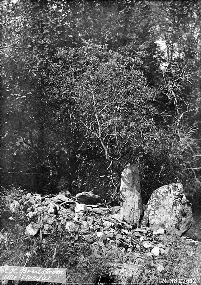 Alexander Bredstrøm Ansberg, Naturbilde