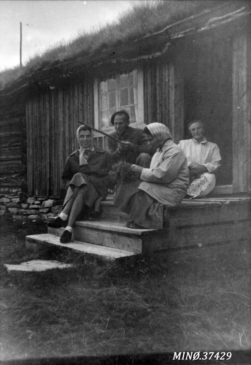 Ukjent, Mann, kvinner på setertrapp