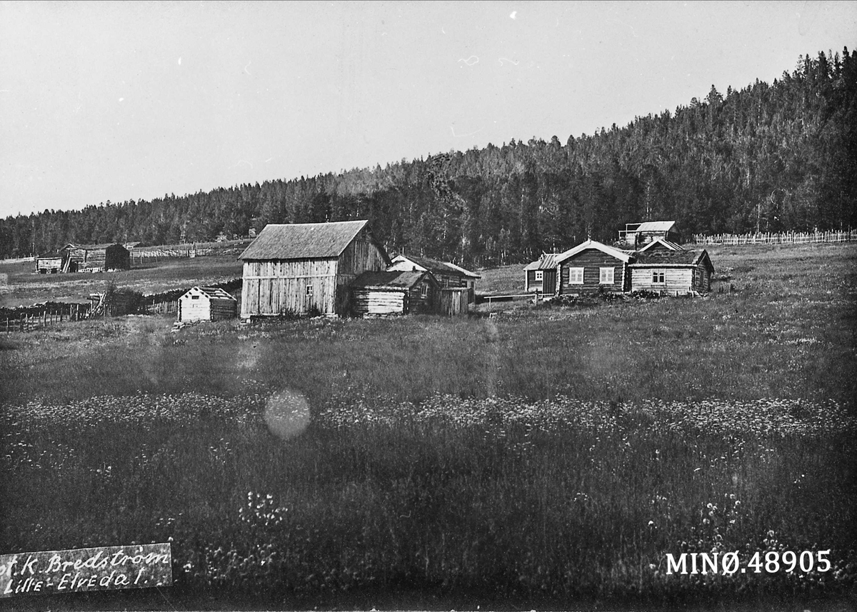 Alexander Bredstrøm Ansberg, Gardsbruk. Søre Dalløkken i Dalgardsgrenda