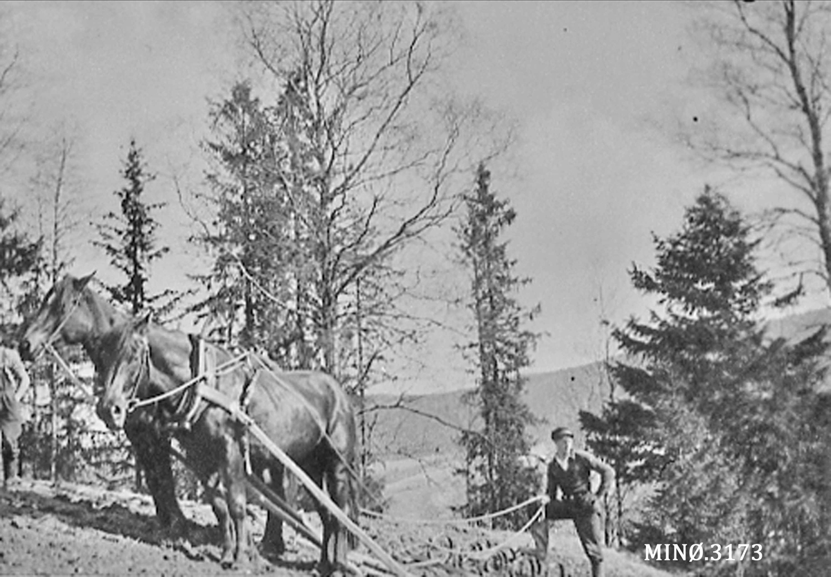 Jo Øvergaard, Mann med hest og plog, pløying/nybrått/bureisning.