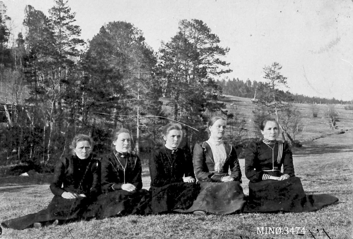 Peder J. Bredalslien, Fire unge kvinner, ei eldre, sittende på eng foran skog, kjoler