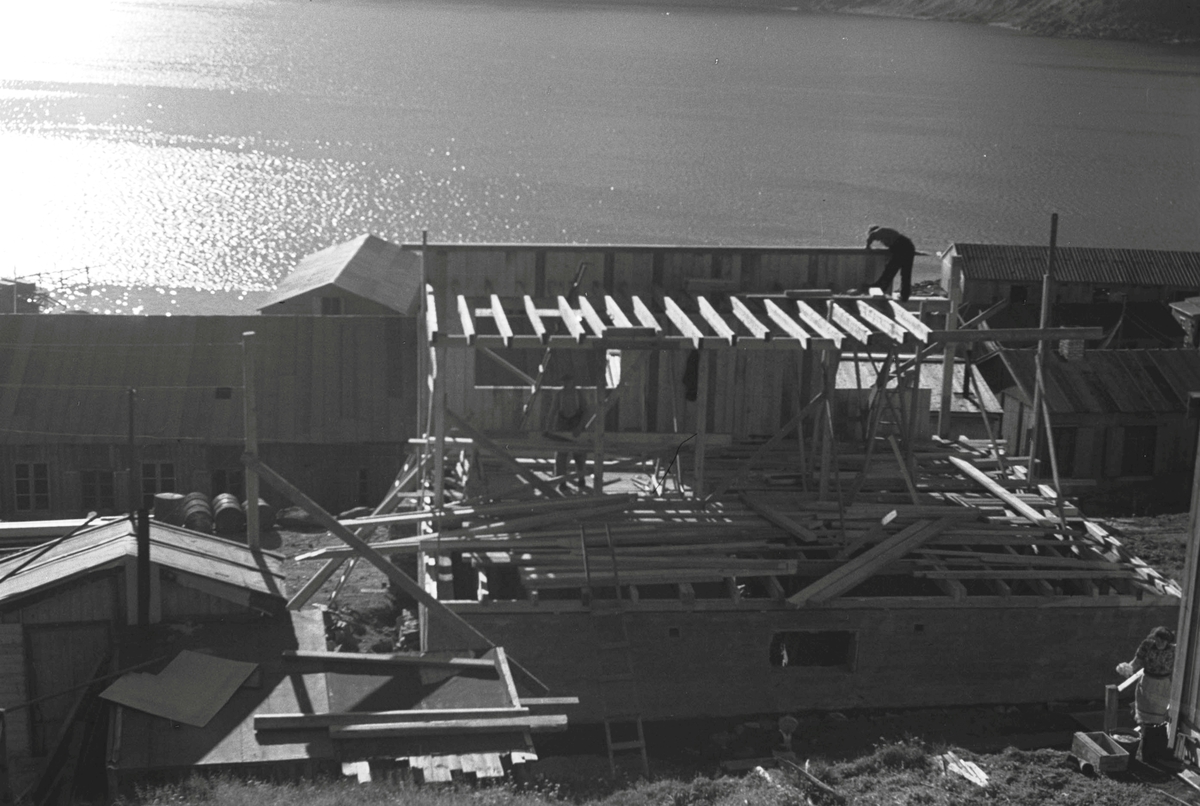 Ola Hanche-Olsen, NO.F003995
