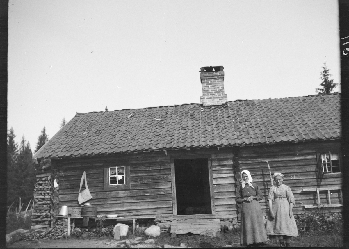 Karl Andreas Diesen, Bolsdalen, seter, budeier, Vang allmenning.