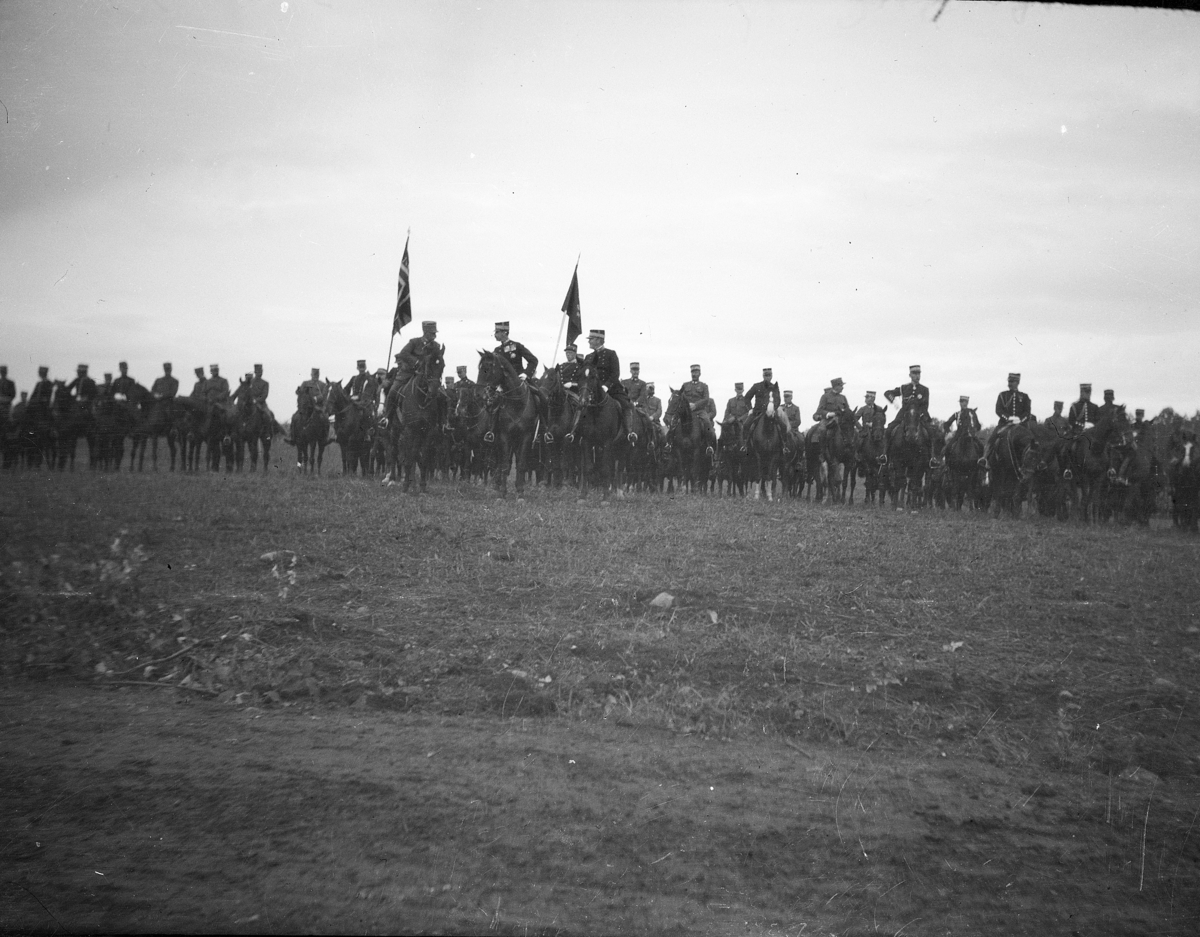 Karl Andreas Diesen, Feltmanøver, militærøvelse, defilering, kong Haakon overværer defileringen.