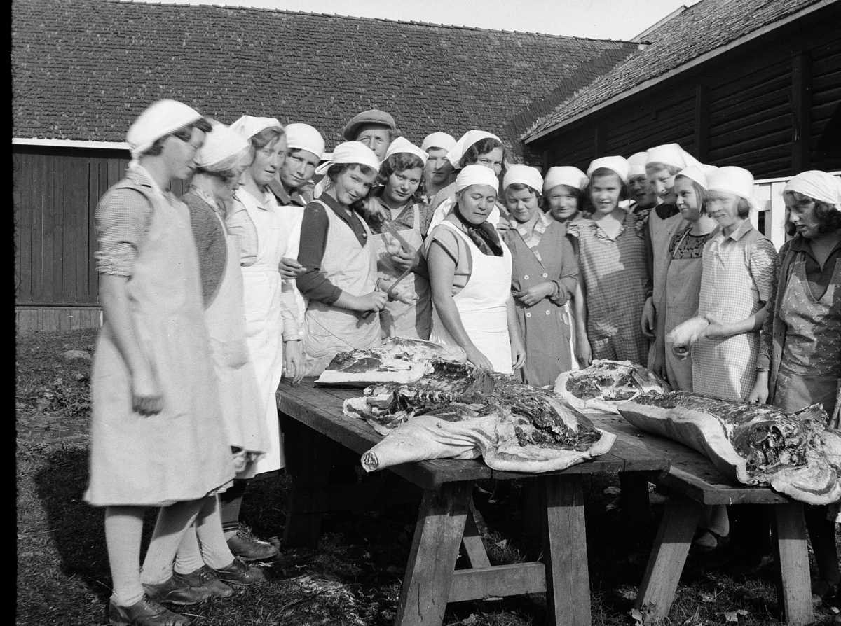 Karl Andreas Diesen, Romedal kjøkkenskole, gruppe elever, gris, slakt,