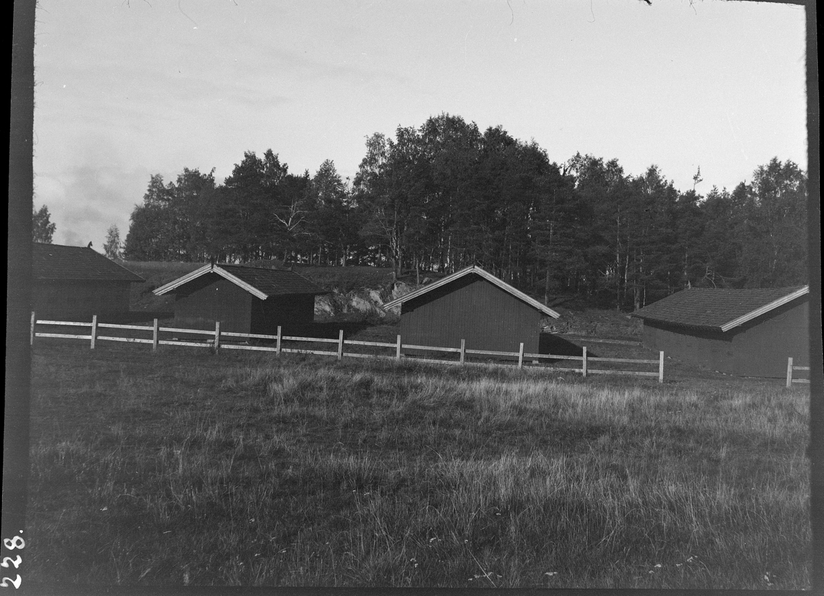 Karl Andreas Diesen, Staller, utstillingsplassen, Hamar