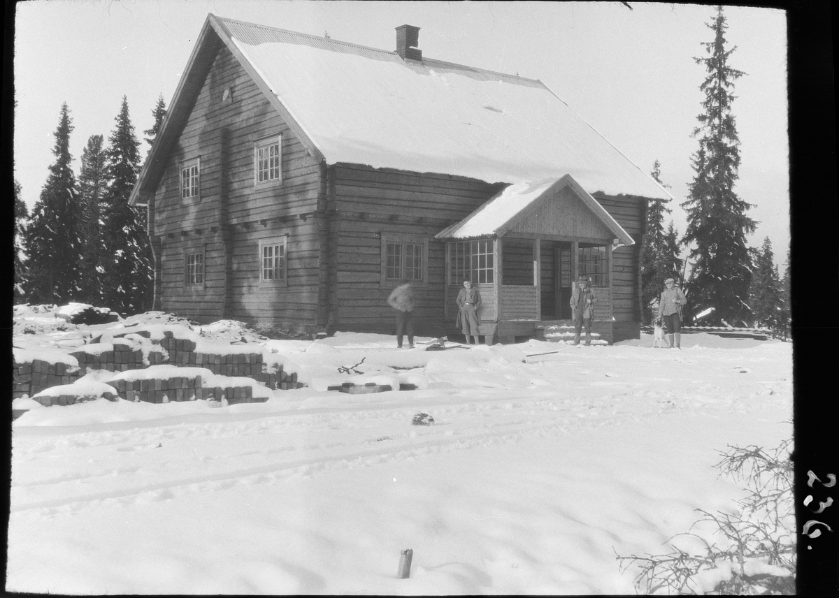 Karl Andreas Diesen, Lauvlia, tømmerhus, Løvlien, nybygg, Vang allmenning, "Den nye stue på lavlien"
