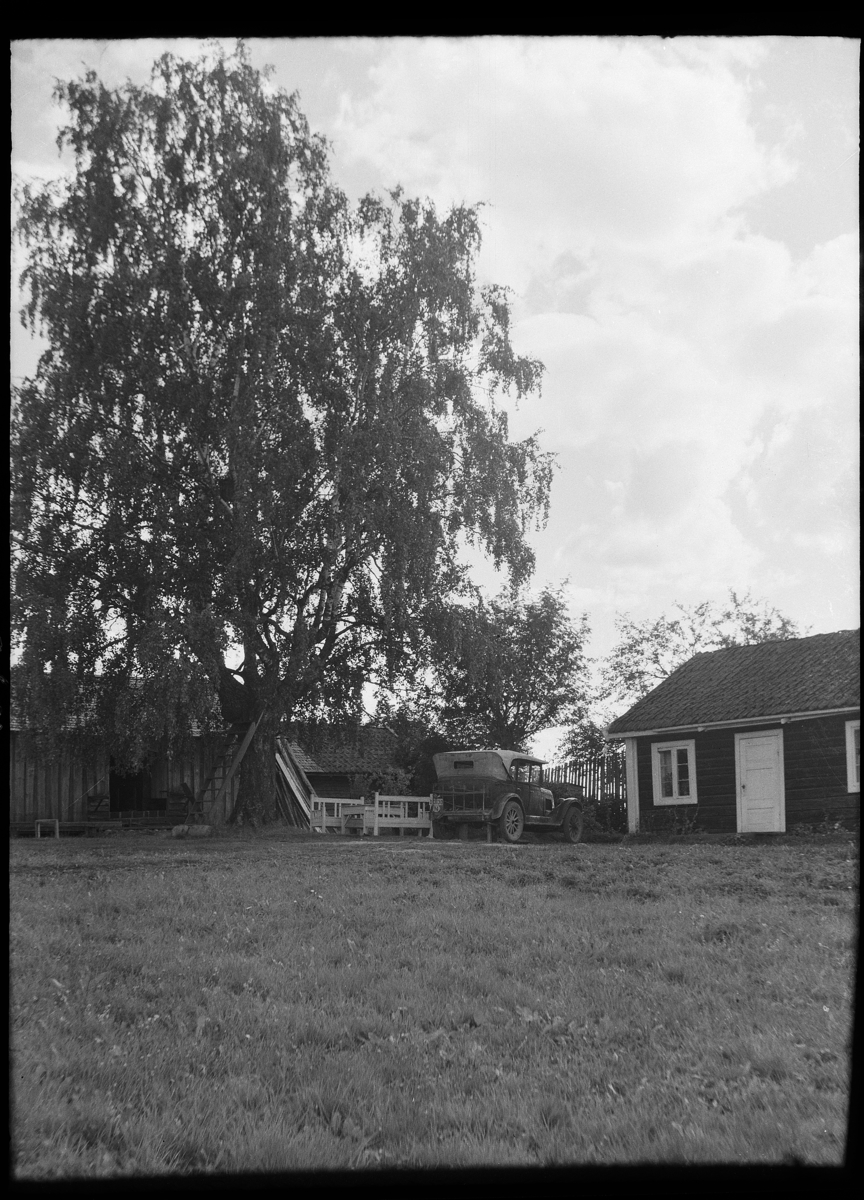 Karl Andreas Diesen, Dronningbisentralen, bikuber, Romedal. Personbil D-3130.