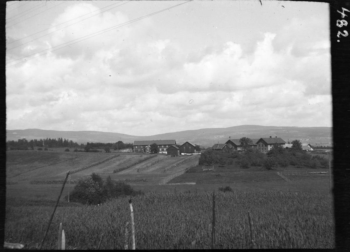 Karl Andreas Diesen, Kårtorp gard, Furnes, oversikt, landskap.