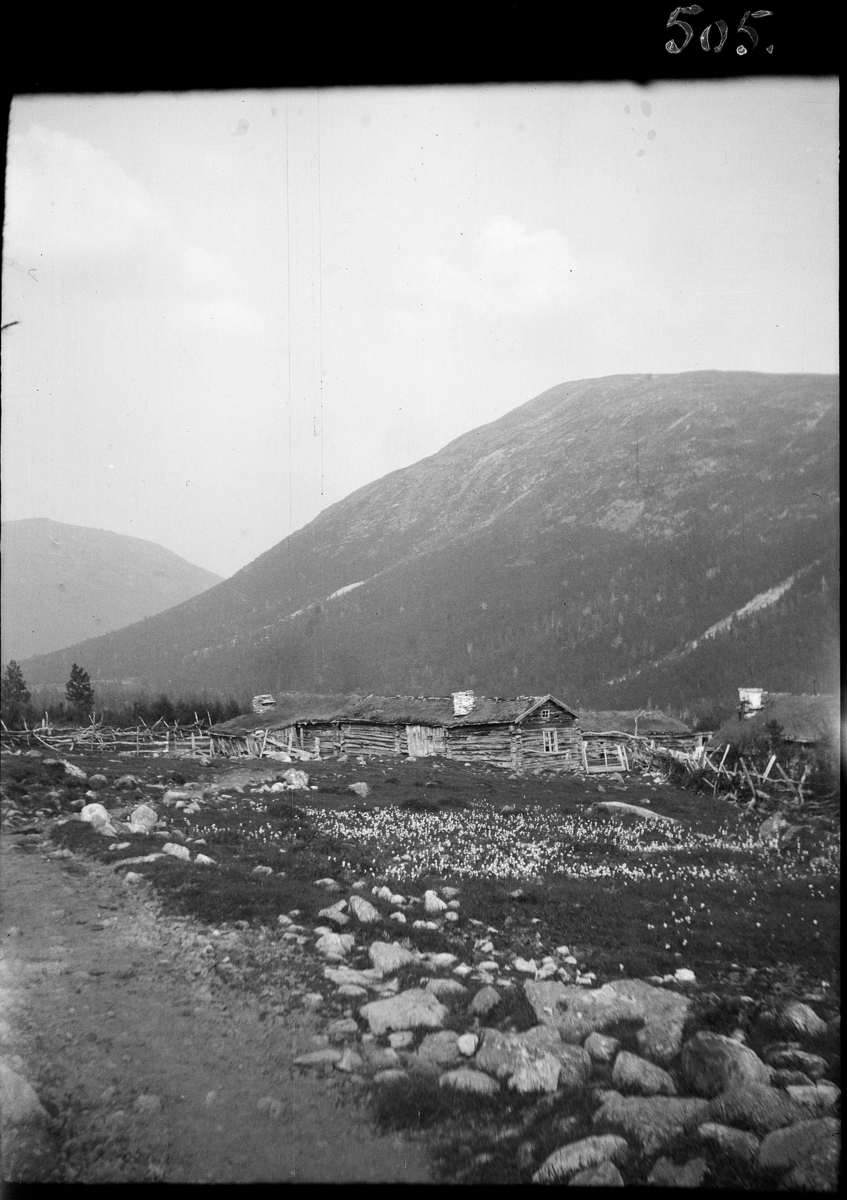 Karl Andreas Diesen, Kabben seter ved "Ulvaaen", Møre og Romsdal.