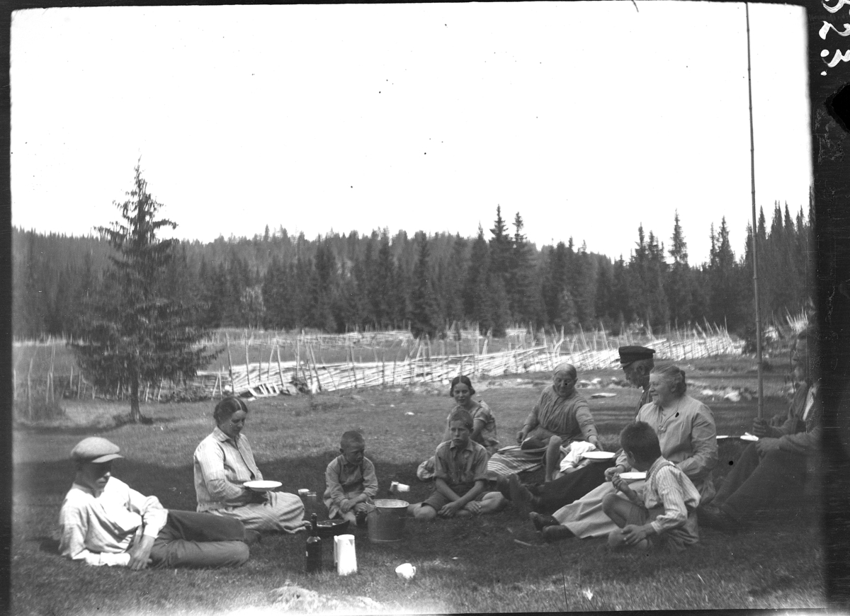 Karl Andreas Diesen, Bolsdalen seter, Vang allmenning, "Gjester på Bolsdalen" , bespisning,