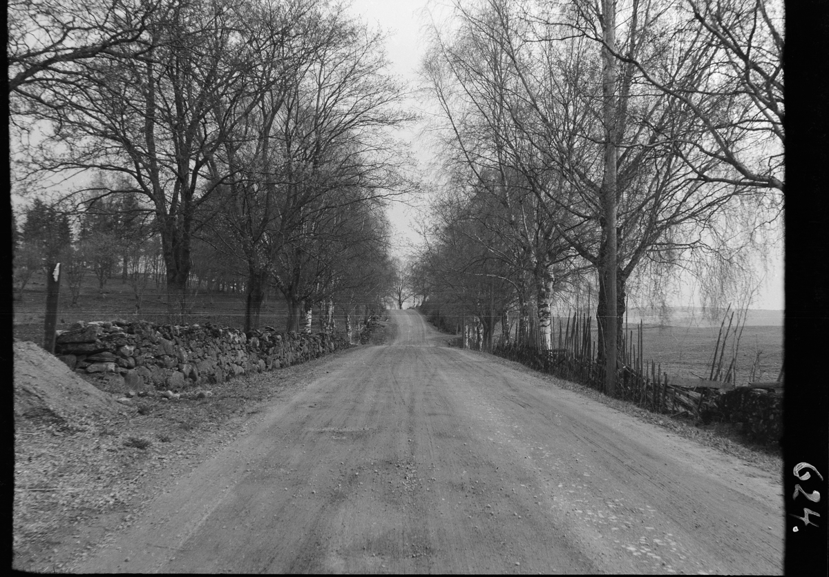 Karl Andreas Diesen, Vegparti, Vang, steingjerd, bjørkealle