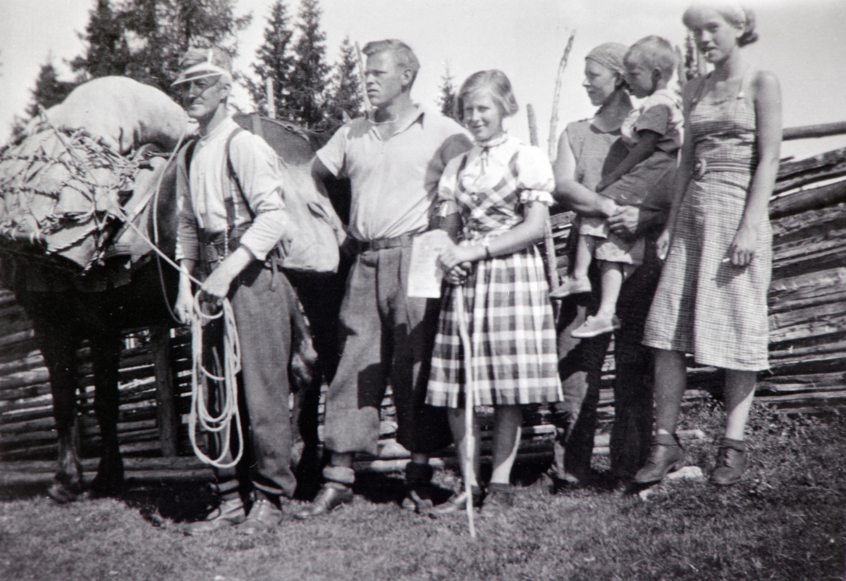 Anno Domkirkeodden, KLØVHEST, BUSVOLD, SETERREISE, GRUPPE 6. Fra venstre: Edmund Bakstad, Nils Busvold, Sigrid Kristine Busvold, Astrid Busvold, to ukjente til høyre.